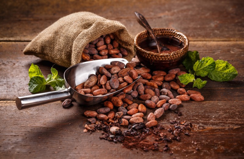 チョコレートのカカオ豆の種類について 三鷹のショコラ ケーキ Ma Priere マ プリエール